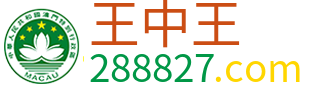 王中王